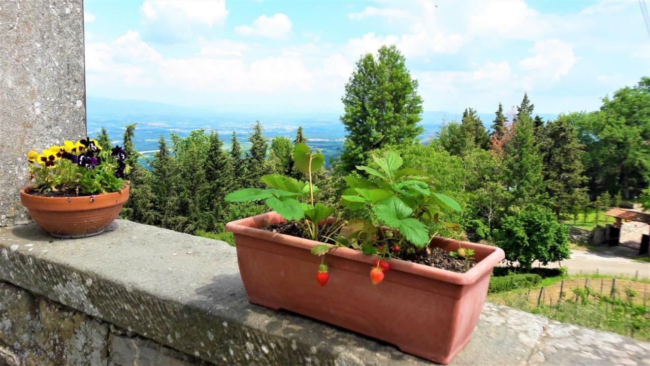 A Due Passi Dal Chianti Apartman Cavriglia Kültér fotó